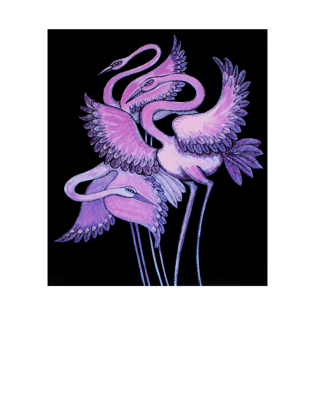 Purple Long Leg Birds — Website Primary
