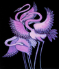 Purple Long Leg Birds — Clean Secondary